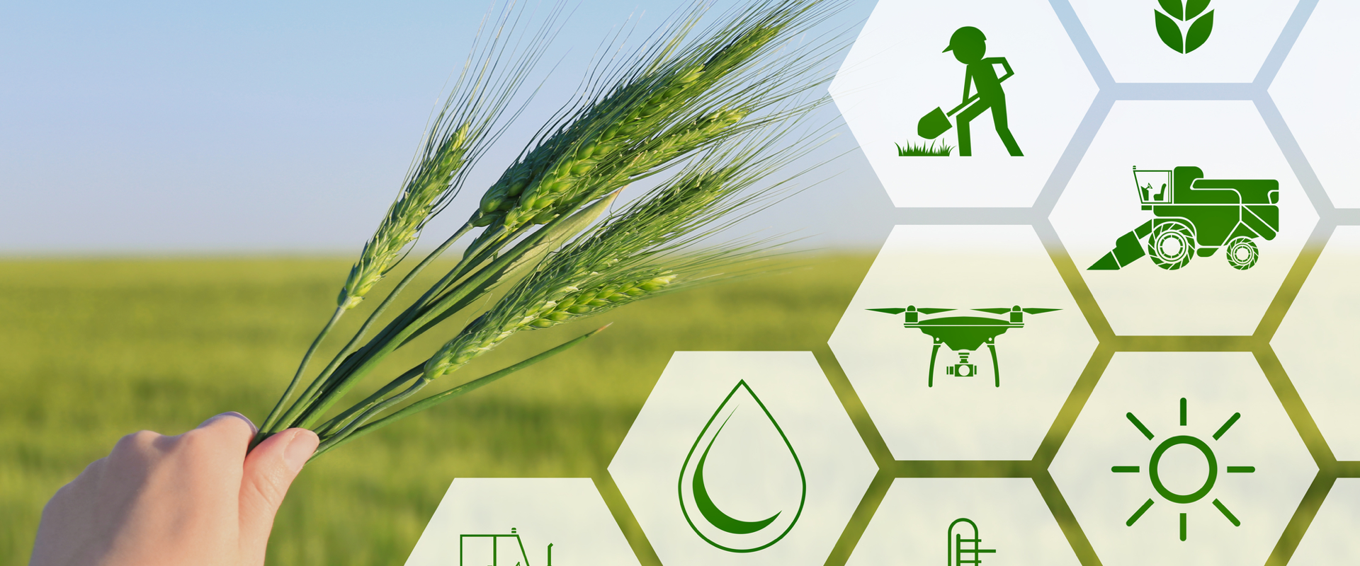 Revolutionising Agriculture: A Deep Dive into Comprehensive Smart Water Management Solutions for Modern Farmers
